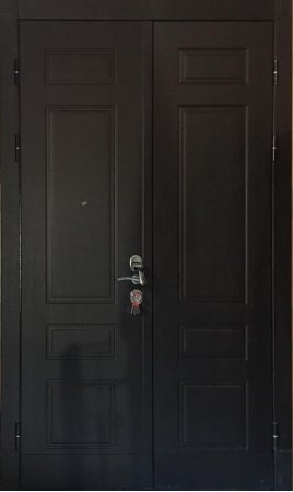 Премиальная металлическая дверь - 11-79