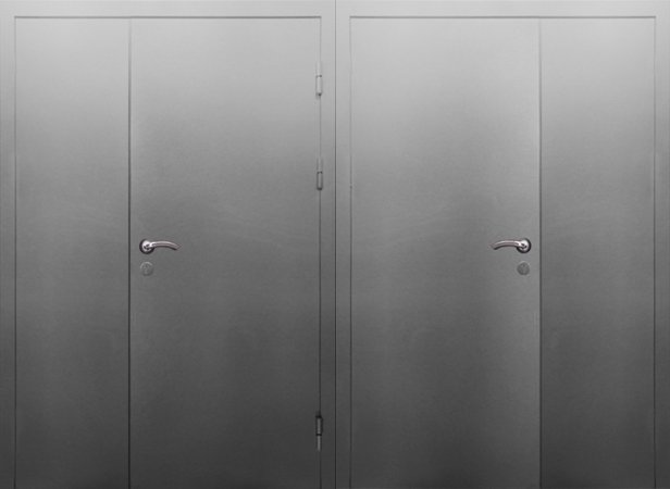 Двухлистовая металлическая дверь - 17-44