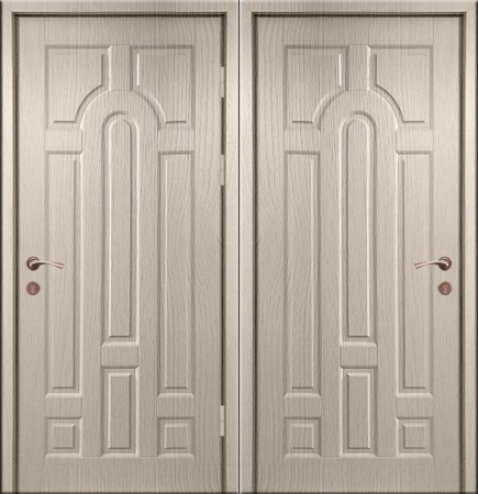 Двухлистовая металлическая дверь - 18-15