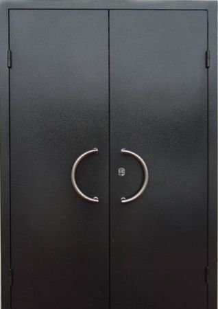 Двухлистовая металлическая дверь - 18-27